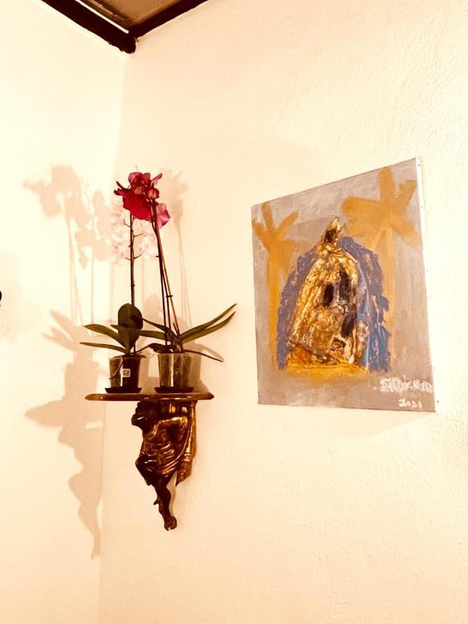 Apartmán Casa Les Bambous Nîmes Exteriér fotografie